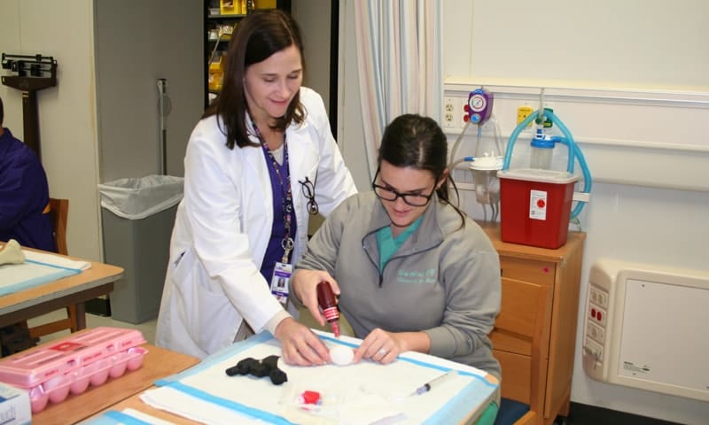 Nurse and student working on a project together